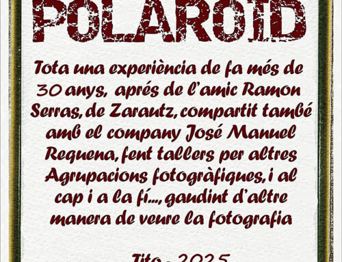Exposició Polaroid de Joan Manuel Vera