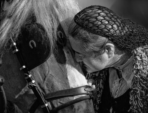 Veredicte del 4t Concurs Fotogràfic Festa dels Tres Tombs de Cerdanyola