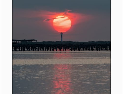 Exposició Delta de l’Ebre 2014-2024