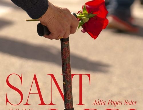 Exposició Sant Jordi 2026 de Júlia Pagès