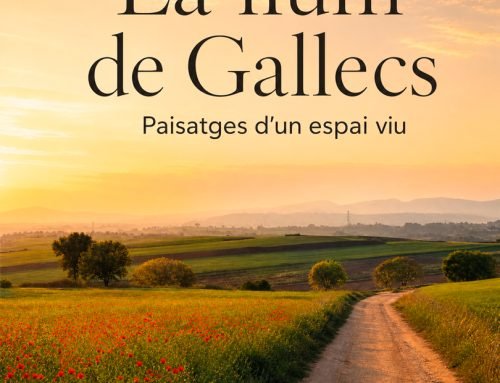 Exposició La llum de Gallecs de Miquel Pons